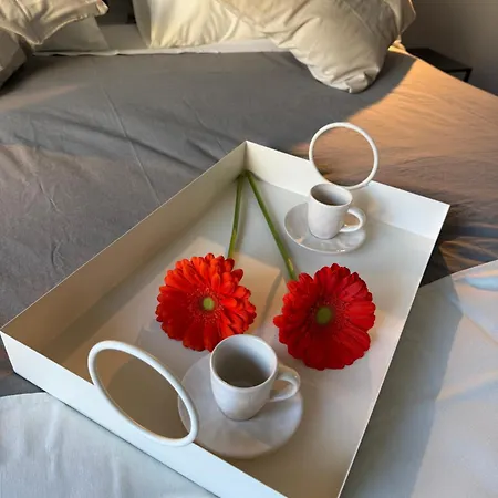 Vb Luxury 招待所 罗马